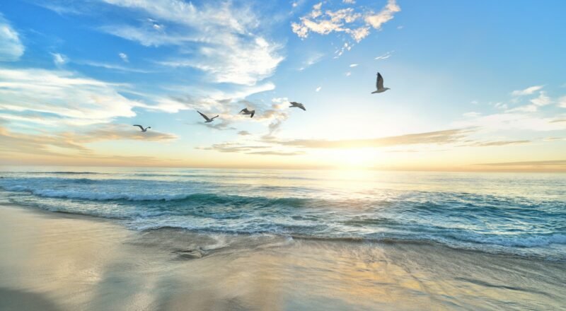 momentos e viagens